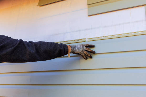 Best Custom Siding Design  in Cottage Grove, MN